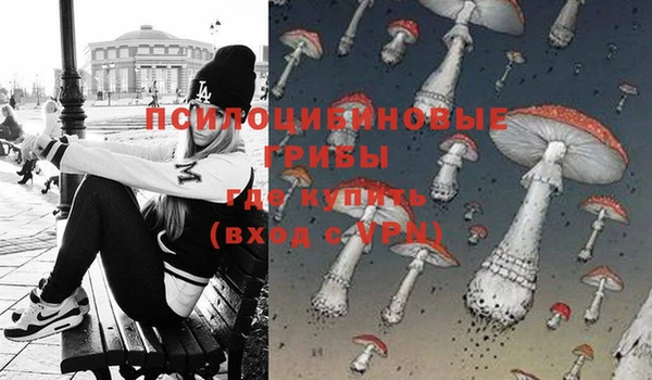 гашик Навашино