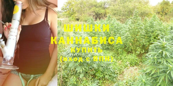 гидропоника Заводоуковск