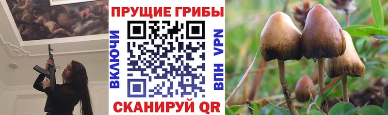 Псилоцибиновые грибы прущие грибы  блэк спрут зеркало  Миллерово  купить закладку 