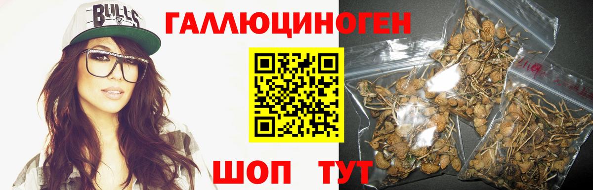 Псилоцибиновые грибы мицелий  Галлюциногенные грибы GOLDEN TEACHER  Вход с VPN  Миллерово 
